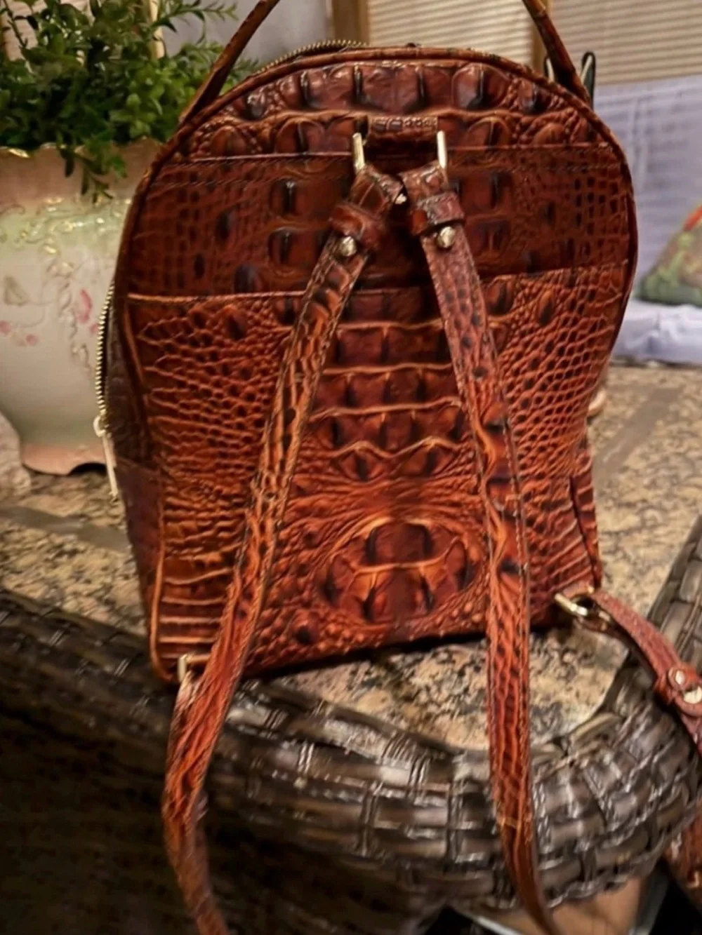 Brahmin Brown Croc-Embossed Leather Backpack - Picture 1 of 6